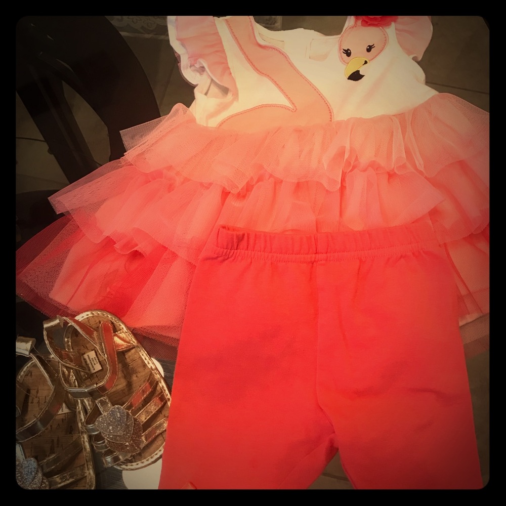 Baby Girl Pink Flamingo Outfit w/shoes